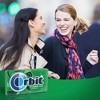 Orbit Spearmint Sugar Free Chewing Gum Single Pack -14 Piece - image 4 of 4