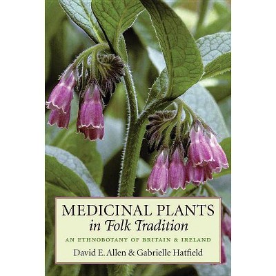 Medicinal Plants in Folk Tradition - by  David E Allen & Gabrielle Hatfield (Paperback)