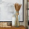 20'' x 1'' Olivia & May Bunny Tail Dried Foliage: Natural Tabletop Decor, Indoor Use Only - 2 of 4