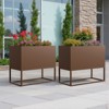 Wooakway Outdoor/Indoor/Decor Metal Elevated Raised Garden Bed Planter Box Planter Pots Cachepot Nursery Pot - 2 of 4