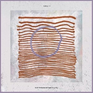 Dungen - En Ar For Mycket Och Tusen Aldrig Nog (Vinyl) - 1 of 1