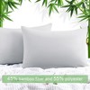 PiccoCasa Zipper Closure Breathable Luxury Viscose From Bamboo Pillowcases 2 Pcs - 2 of 4