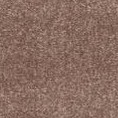 ivory/brown