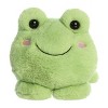 Aurora Small Fovo Frog Too Cute Playful Stuffed Animal Green 9" - 2 of 4