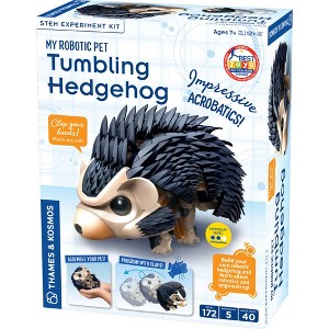 My Robotic Pet - Tumbling Hedgehog - 1 of 4