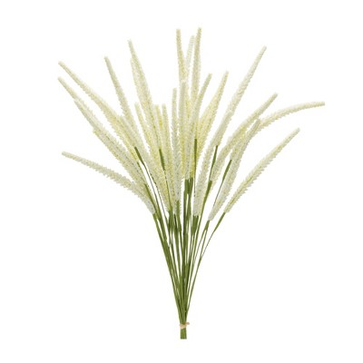 Melrose Foxtail Bundle (Set of 6)