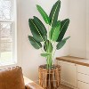 Artificial Bird of Paradise Plant – Realistic Faux Tree with Trunks & Pot, 4/5/6ft Indoor/Outdoor Decor (1 or 2 Pack) - 2 of 4