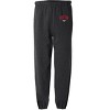 Western Oregon University Primary Logo Jogger Sweatpants - 2 of 4