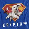 Toddler Boy's Superman 2025 Krypto Shield T-Shirt - 2 of 3