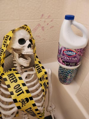 Guest review image 1 of 1, zoom in