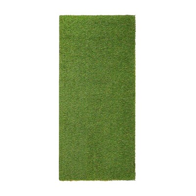Artificial Grass Synthetic Lawn Indoor/ Outdoor Turf Area Rug by Blue Nile Mills