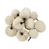 Whisen Set of 4, 2" Velvety Pumpkin In Mesh Bag, Bag/12, Harvest Festival Fall Festival & Thanksgiving Decor - White - 3 of 4
