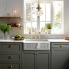 PROOX Double Handle Bridge Kitchen Faucet with Side Sprayer - 4 of 4