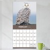 TF Publishing 13.5"x14.5" 2026 Owls Wall Calendar - 3 of 4