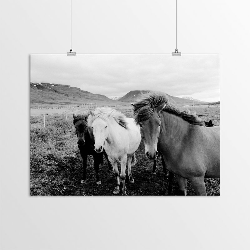 Americanflat Animal Landscape Farm Horses Black And White By Nuada Poster, 4 of 7