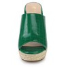 Allegra K Women's Espadrille Wedge Heel Wedge Sandals - 2 of 4