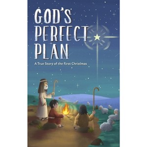 God's Perfect Plan - by  Kelli Young (Hardcover) - 1 of 1