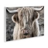 Stupell Industries Detailed Highlands Cattle Rural Farm Photography Wall Plaque Art - 3 of 4