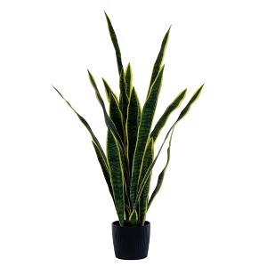 Green/Yellow Sansevieria Snake Plant - 1 of 2