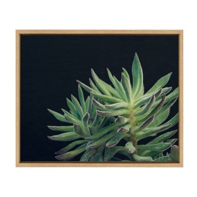 18" x 24" Sylvie Succulent 13 Framed Canvas by F2 Images Natural - Kate and Laurel