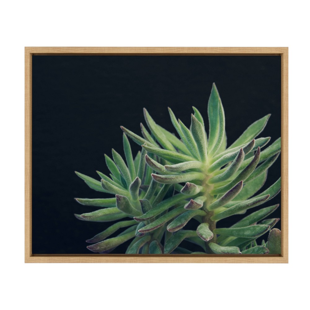 Photos - Other Decoration 18" x 24" Sylvie Succulent 13 Framed Canvas by F2 Images Natural - Kate and Laurel