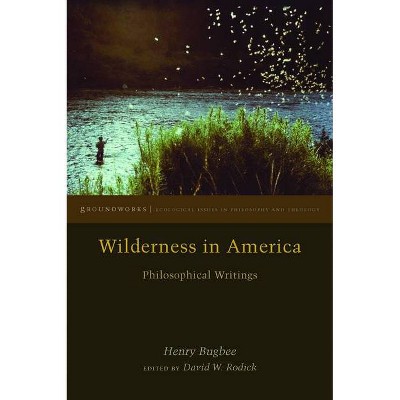 Wilderness in America - (Groundworks: Ecological Issues in Philosophy and Theology) by  Henry Bugbee (Hardcover)