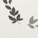 spotted leaves light gray