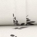 spotted leaves light gray