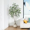 DR.Planzen 5-7FT Artiicial Ficus Tree with Round White Planter, Pre Potted Faux Plant for Indoor Home Decor - 2 of 4