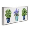 Stupell Industries Varied Potted Plants & Herbs, 30" x 13" - 3 of 4