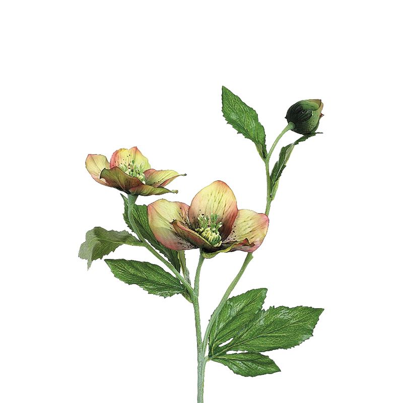 Allstate Floral 22" Sage Green and Burgundy Helleborus Artificial Decorative Spray, 4 of 5