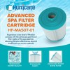 Hurricane Filters HF-MAS07-01 Advanced Spa Filter Cartridge - Replacement for PMA40-F2M, Filbur FC-0418, 2 Pack - 2 of 4