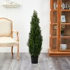 4ft Silk Tree - Indoor Outdoor Decorative Tree, Realistic Artificial Pine Tree, Elegant Home Decor, 20" x 20" x 48" - 4 of 4