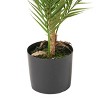 4FT Artificial Palm Tree - Tall Fake Tree UV Resistant for Indoor & Outdoor Decor Large Potted Faux Plant for Living Room, Office, Home Decoration - 3 of 4