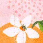 pink orange you the sweetest