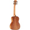 Alvarez Artsit Concert Ukulele Shadowburst - image 2 of 3