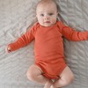Honest Baby 10-Pack Organic Cotton Long Sleeve Bodysuits - 2 of 4