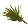 Nearly Natural Mini Spiky Agave Succulent Plant (Set of 12) - 4 of 4