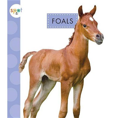 Foals - (Spot Baby Farm Animals) by  Anastasia Suen (Paperback)