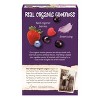 Nature's Path Organic Toaster Pastries Frosted Wildberry Acai - 6ct - 2 of 4