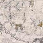 light gray, dark brown, gray, medium gray