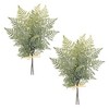 Melrose Fern Foliage Bundle (Set of 2) - 2 of 2