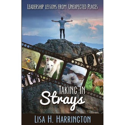 Taking In Strays - 4th Edition by  Lisa H Harrington (Paperback)