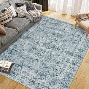 Coucheta Washable Low Pile Area Rug , Non-Slip Indoor Outdoor Carpet for Living Room Bedroom Kitchen, Multi-Color & Size - 1 of 4
