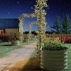 Galvanized Raised Garden Bed with 95" Arch Trellis and Climbing Net, Outdoor Planter for Vegetables & Flowers, Green - 3 of 4