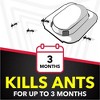 Raid Ant Baits and Indoor Ant Killer - 8ct - 2 of 4