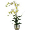 Nearly Natural 22-in Dendrobium with Glass Vase Silk Flower Arrangement - 2 of 4