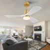 42 Inch Solid Wood Ceiling Fan With Remote And LED Light, Modern Farmhouse Ceiling Fan With Reversible DC Motor For Indoor Or Outdoor Use - 3 of 4