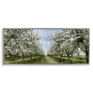 Stupell Industries Blooming White Tree Orchard, 24" x 10" - 1 of 4
