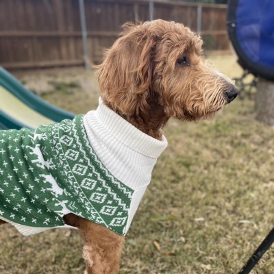 Buy green bay dog sweater - OFF-66% > Free Delivery